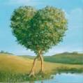 ARBOL